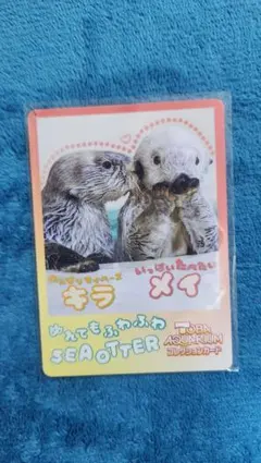 鳥羽水族館 コレクションカード vol.2 ラッコ キラ メイ - メルカリ