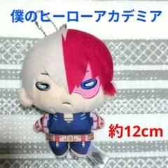 2026年最新】僕のヒーローアカデミア ぬいぐるみ にとたんの人気