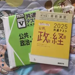 共通テスト 公共、政治・経済 対策問題集 2点セット