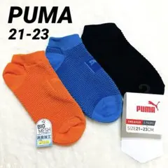 Item thumbnail for item 6a0a0215-bc4c-4406-abe5-e5f3d0503147