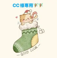 CC様 リクエスト 6点 まとめ商品