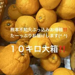 訳あり⭐️広島県産無農薬レモン10キロ箱込（農薬：栽培期間中不使用