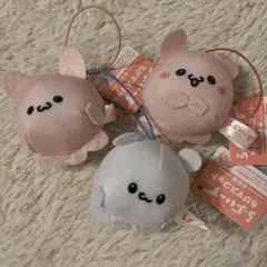 らふいーず　3つセット