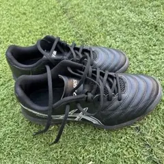 【美品・最終値下げ】asicsアシックス CALCETTO WD 24.5cmのサムネイル