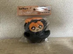 日向翔陽 ちみけもますこっと　ぬいぐるみ
