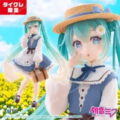 2体セット 初音ミク　Fashion フィギュア Country（タイクレ限定）