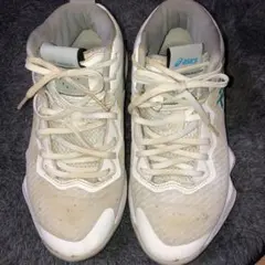 Item thumbnail for item 61ad11be-9eb3-4224-809b-53bd17f20b48