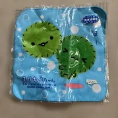 2026年最新】まりもこちゃんの人気アイテム - メルカリ