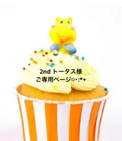 2ndトータス様 ご専用ページ☺︎・:*
