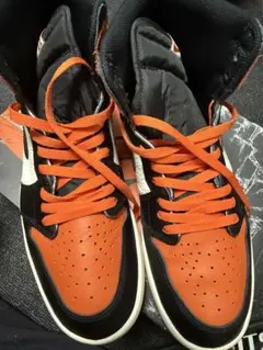 NIKE エアジョーダン1 レトロハイOG 　シャッタードバックボード　30㎝