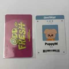 StrayKids 韓国ポップアップ 入場特典 PuppyM スンミン