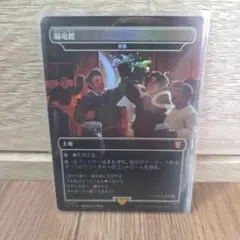 mtg　緑竜館　foil