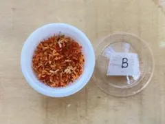 B 金木犀　ドライフラワー　無選別　ハンドメイド