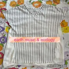 アースミュージックエコロジー　Fサイズ　半袖　Tシャツ　ストライプ