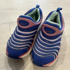 nike ダイナモフリー 22
