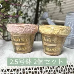 リメイク鉢 2.5号鉢2個セット リメ鉢 ハンドメイド おまけセダム付き♪のサムネイル