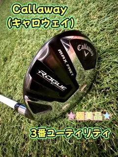2026年最新】ローグST ユーティリティ 3uの人気アイテム - メルカリ
