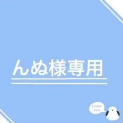 んぬ様専用