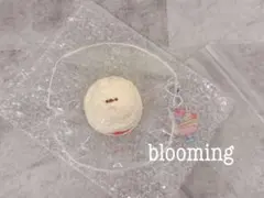 blooming スクイーズ うさぎ アイス
