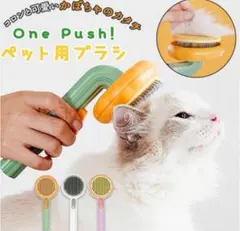 Item thumbnail for item cb357125-9536-4064-9f61-d9fcb68a0e50