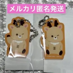 RIIZE ランダムトイ ソンチャン マグネットアクリルチャーム　セット