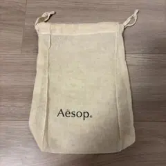 Aesop イソップ ショッピングバッグ 約27cm x 20cm