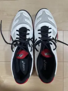 asics テニスシューズ GEL-SOLUTION SLAM 28.0cm