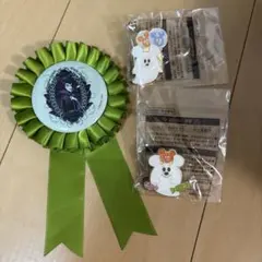 ディズニー マレフィセント ロゼット 缶バッジ ピンバッジ セット