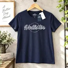 新品 ホリスター Tシャツ S ネイビー 刺繍ロゴ タグ付 半袖