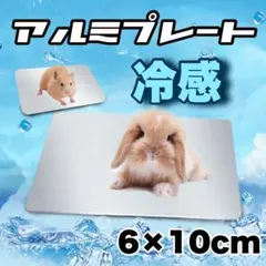 冷感プレート アルミ ペット用 冷感 ハムスター 小動物 リス クールマット29のサムネイル
