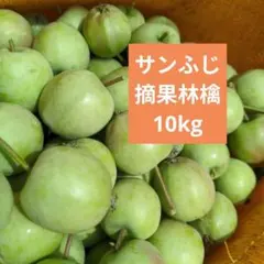 摘果りんご　加工用サンふじ林檎他　約10キロ 送料込み 72のサムネイル