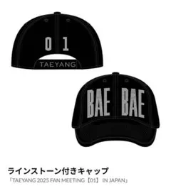 TAEYANG 2025 FAN MEETING キャップ　試着のみ