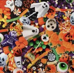 USAコットン　Timeless Treasures ハロウィン　1m