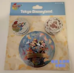 東京ディズニー ハーモニーインカラー カンバッジ3個セット