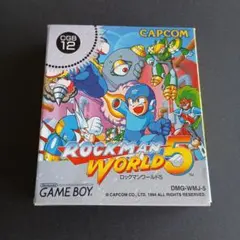 プロフ必読さま専用⭐　ロックマンワールド5・ポケモンルビー 　外箱のみ