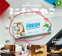 ミニチュアねこ 가챠 2종 세트