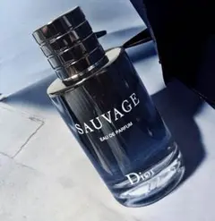 DIOR　ディオール　Sauvage ソヴァージュ オードゥ パルファン
