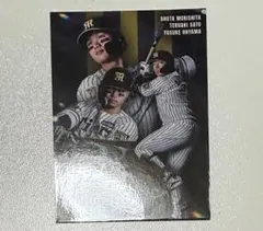 阪神タイガース タイガースコレクション リアルトレカ オープン戦限定