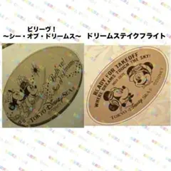 ディズニーリゾート　ビリーヴ　ドリームステイクフライト　スーベニアメダルのサムネイル