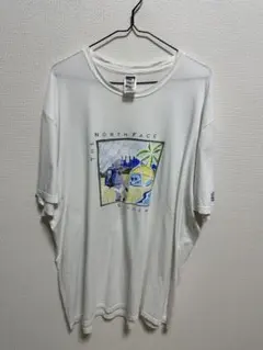 supreme✖️north face space Camping tee