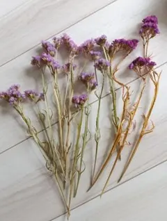 ドライフラワー　スターチス　花　ハンドメイド　ハーバリウム　植物　ブーケ　飾り