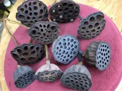 Item thumbnail for item 71e27c57-82a8-4a9e-8f6d-f8451fa39def