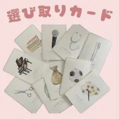 選び取りカード　1歳　イラストカードセット　ファーストバースデー　誕生日