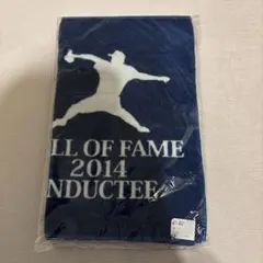 横浜DeNAベイスターズ！佐々木主浩選手！殿堂入り記念フェイスタオル！新品！