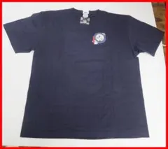 Item thumbnail for item 22a19356-616f-47b5-a69f-6de139d5cf5e