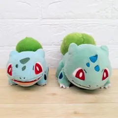 ポケモン ぬいぐるみ フシギダネ 2点まとめ売り USED