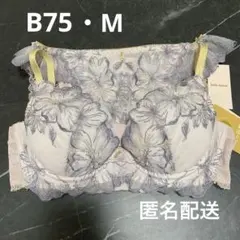 チュチュアンナ　B75 ブラ　ショーツ　セット　M 金の谷間　レース