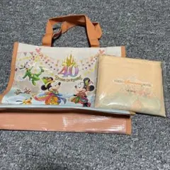 東京ディズニーリゾート 40周年ショッピングバッグとディズニーホテルエコバッグ