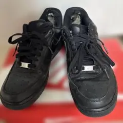 nikeレディーススニーカー24