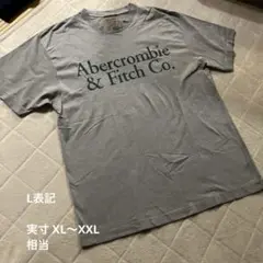 Abercrombie & Fitch アバクロ 半袖BIGＴシャツ グレー Lのサムネイル